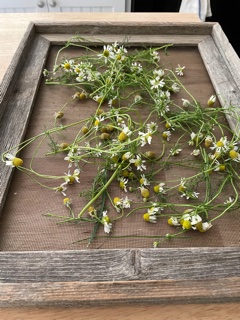 Herbs and Herb blends